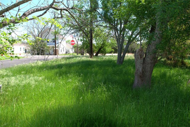 TBD 1st St, Kyle, TX 78640 - photo 10