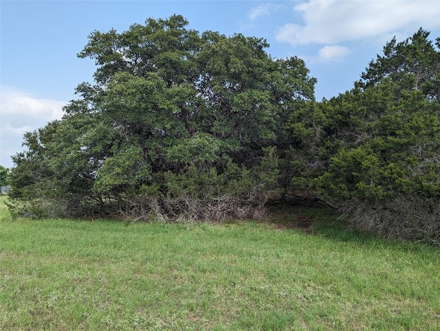 LOT62 County Road 229, Briggs TX, 78608 land for sale