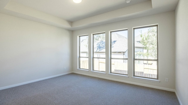 empty room featuring a raised ceiling and carpet flooring