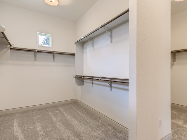 spacious closet featuring light carpet