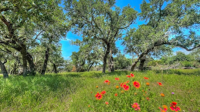 Address Not Disclosed, Bertram TX, 78605 land for sale