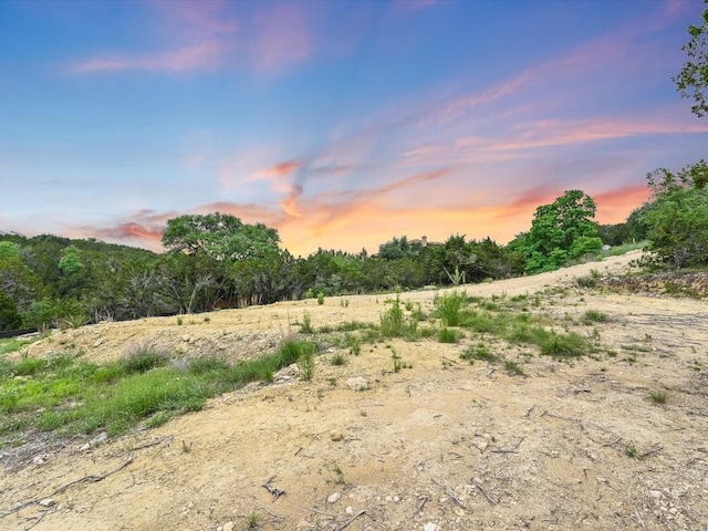 8509 Kelly Cv, Lago Vista, TX 78645 - photo 21
