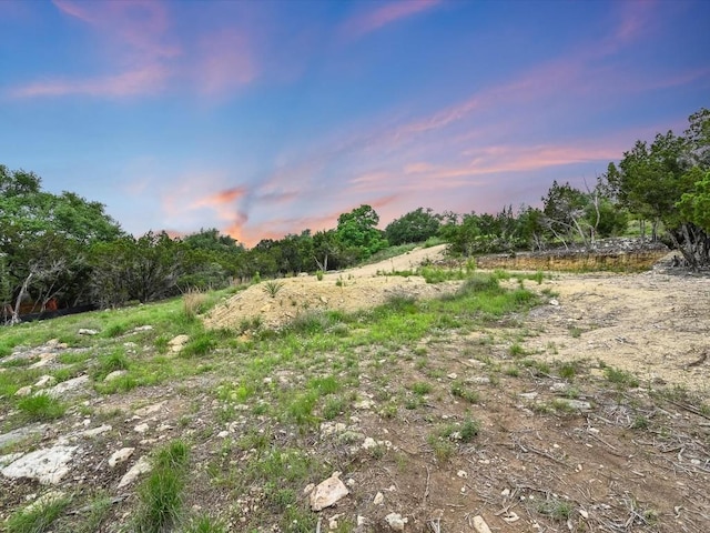 8509 Kelly Cv, Lago Vista, TX 78645 - photo 3