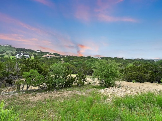 8509 Kelly Cv, Lago Vista, TX 78645 - photo 6