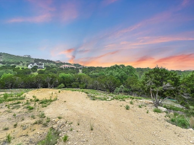 8509 Kelly Cv, Lago Vista, TX 78645 - photo 22