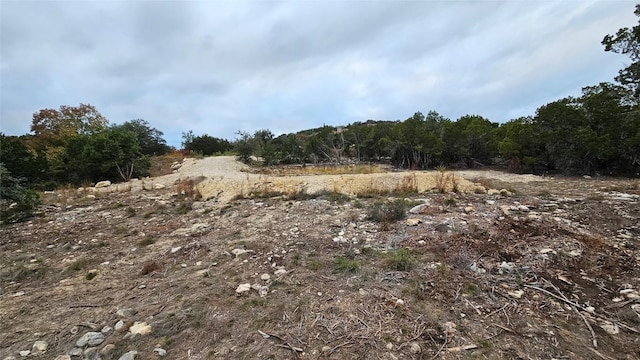 8509 Kelly Cv, Lago Vista, TX 78645 - photo 24