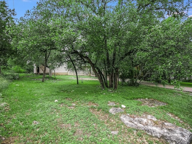 1908 Lakeshore Dr, Austin, TX 78746 - photo 6
