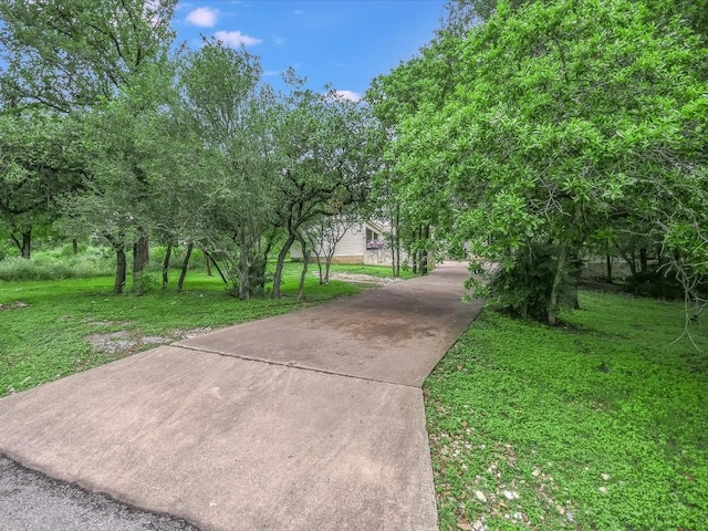 1908 Lakeshore Dr, Austin, TX 78746 - photo 8