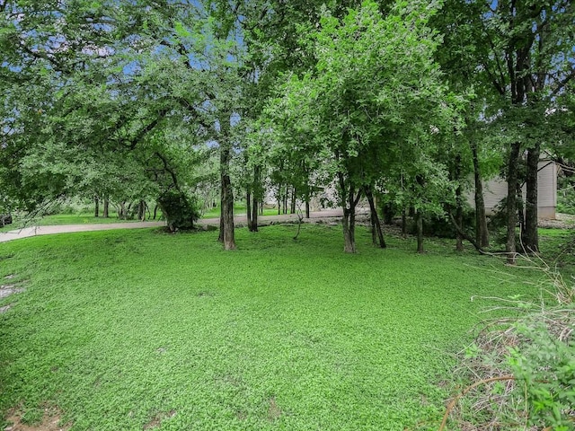 1908 Lakeshore Dr, Austin, TX 78746 - photo 9