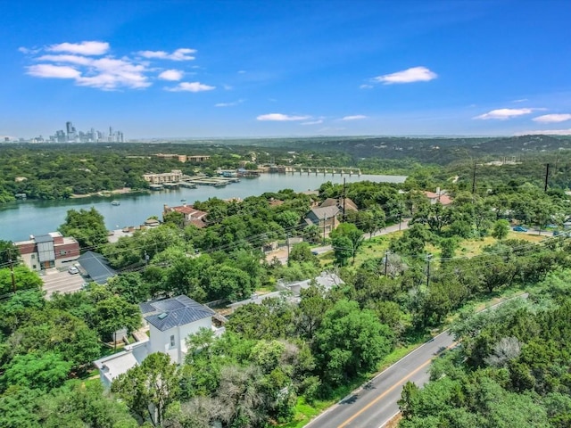 1908 Lakeshore Dr, Austin, TX 78746 - photo 11