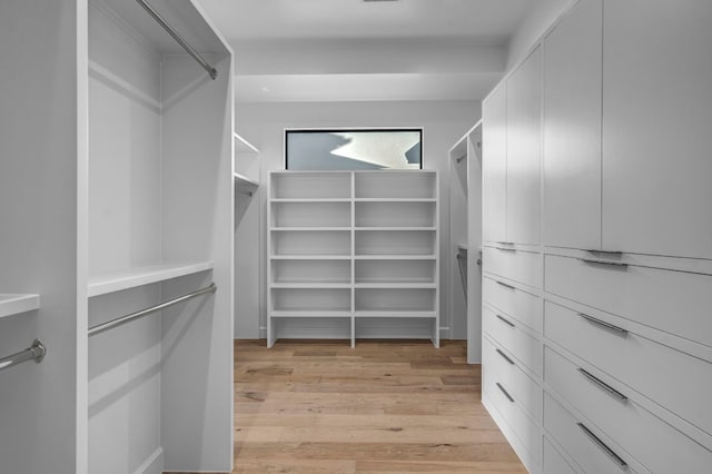 walk in closet with light wood-type flooring