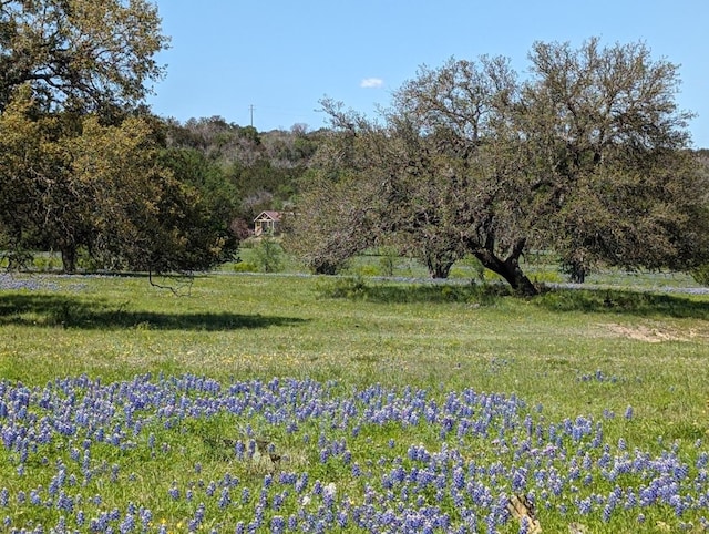 view of yard featuring a rural view