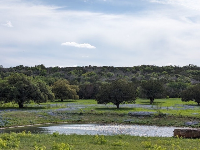 property view of mountains with a water view