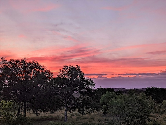 view of nature at dusk