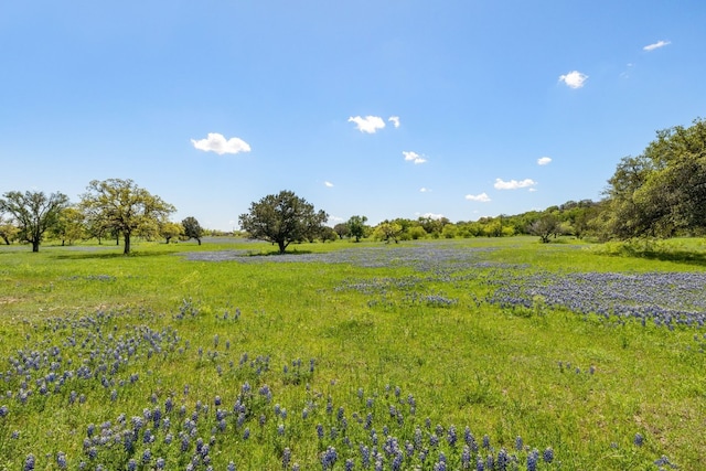 view of local wilderness featuring a rural view