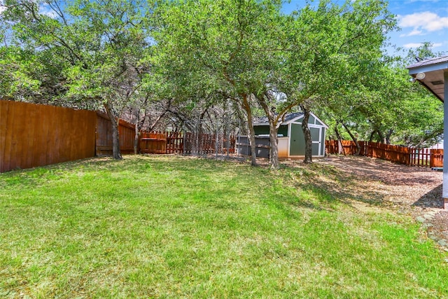 view of yard featuring a storage shed