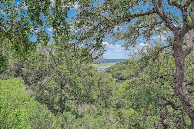 view of local wilderness