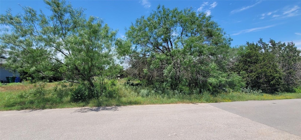 2800 Patriot Dr, Leander, TX 78645 - photo 3