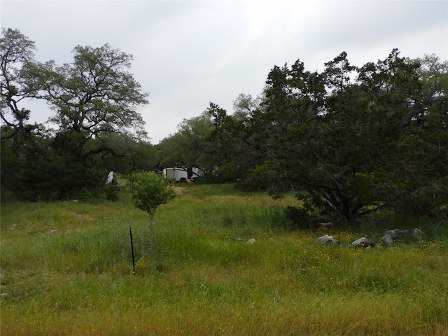 view of local wilderness