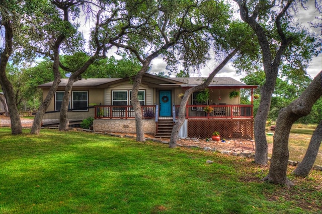 ranch-style house featuring a front lawn