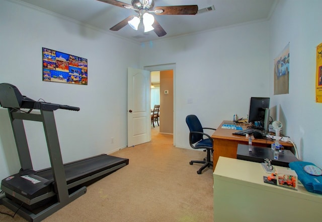 carpeted home office with ceiling fan and crown molding