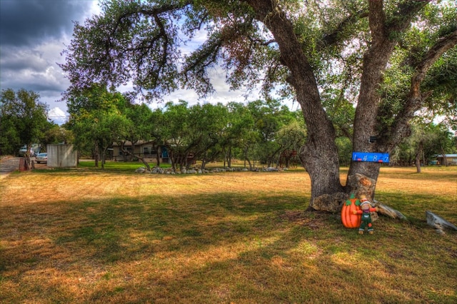 view of yard