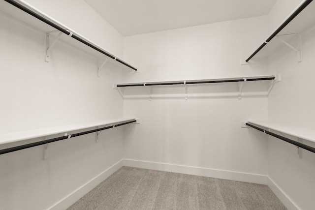 spacious closet with light carpet