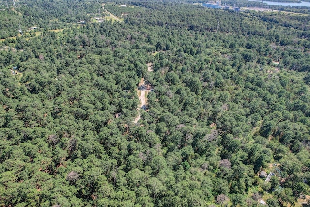 view of birds eye view of property