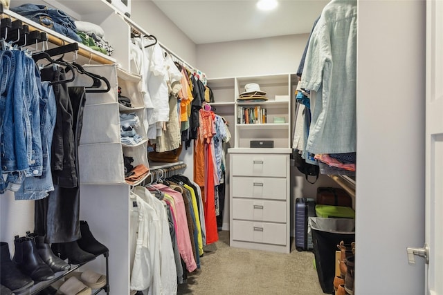 spacious closet featuring light colored carpet