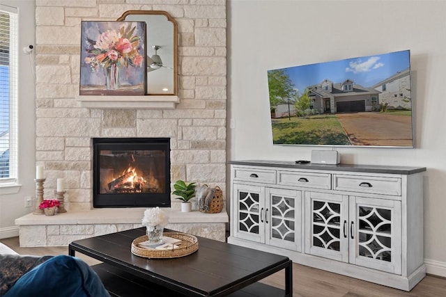 living room featuring a stone fireplace and wood-type flooring