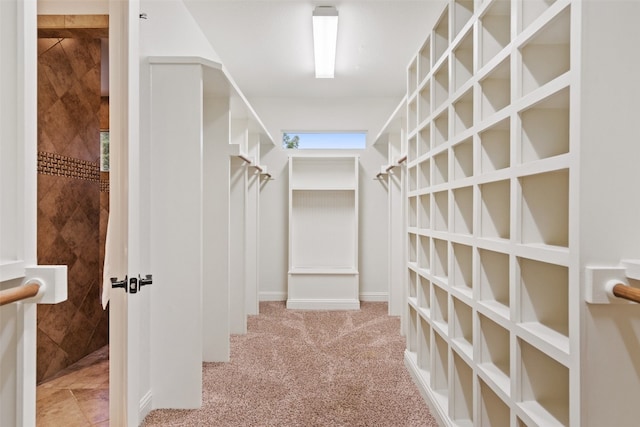 spacious closet with light carpet