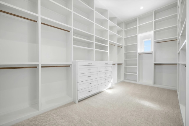 spacious closet with light colored carpet