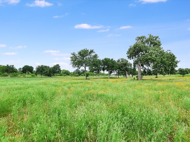 view of mother earth's splendor with a rural view