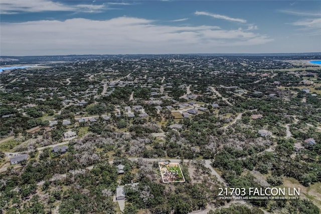 21703 Falcon Ln, Lago Vista, TX 78645 - photo 9