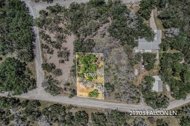 21703 Falcon Ln, Lago Vista, TX 78645 - photo 13
