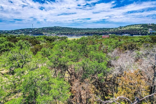 21703 Falcon Ln, Lago Vista, TX 78645 - photo 14