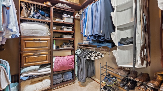 spacious closet featuring carpet floors