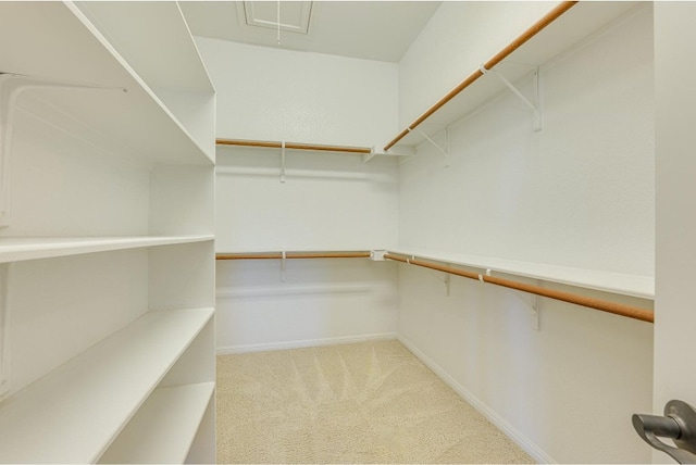 spacious closet with light colored carpet