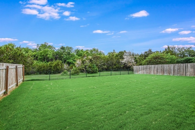 view of yard