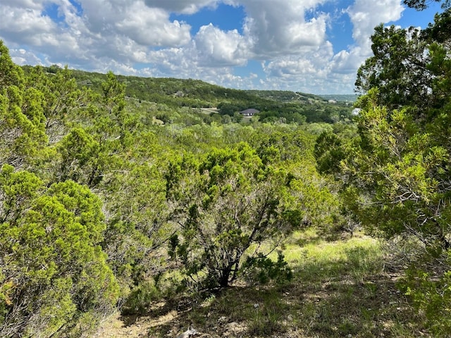 Listing photo 3 for LOT183-A Suncrest Trl, Bertram TX 78605