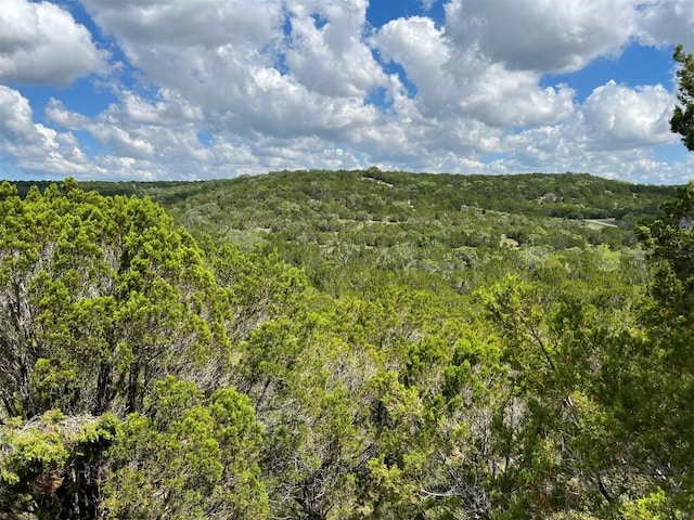 LOT183-A Suncrest Trl, Bertram, TX 78605 - photo 4