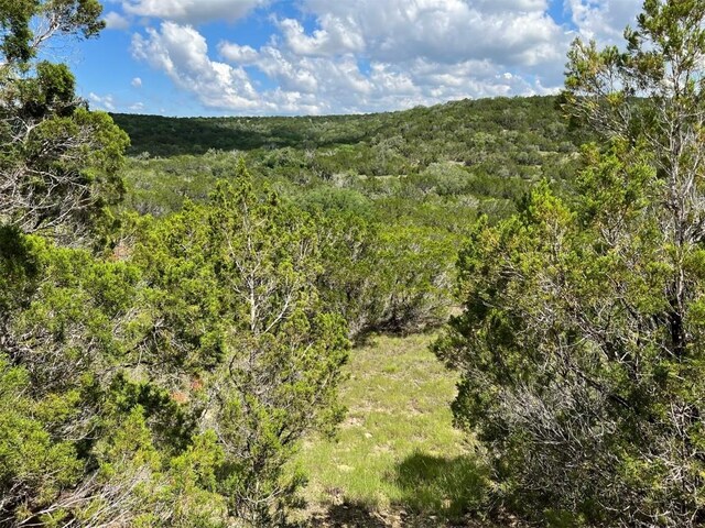 LOT183-A Suncrest Trl, Bertram, TX 78605 - photo 5