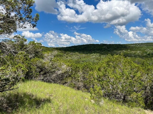 LOT183-A Suncrest Trl, Bertram, TX 78605 - photo 6