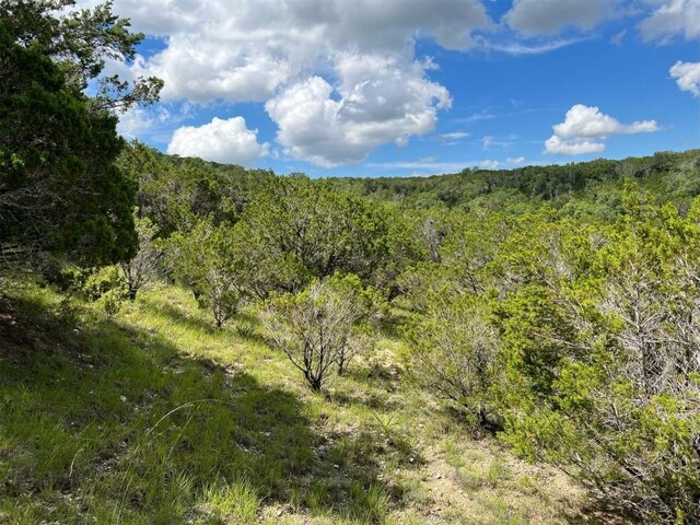 LOT183-A Suncrest Trl, Bertram, TX 78605 - photo 7