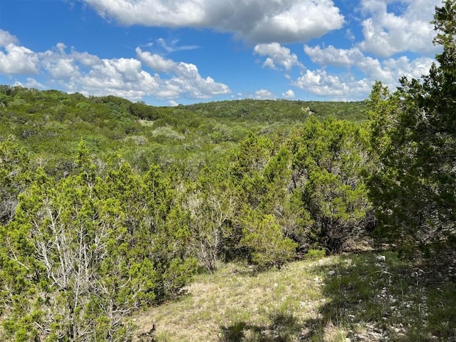 LOT183-A Suncrest Trl, Bertram, TX 78605 - photo 8