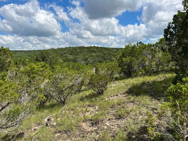 LOT183-A Suncrest Trl, Bertram, TX 78605 - photo 11