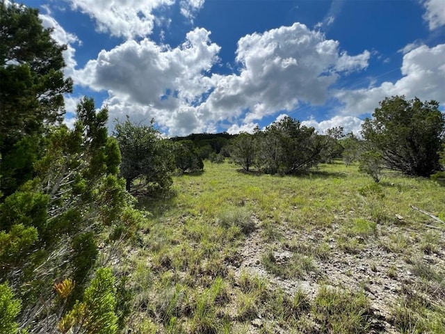 LOT183-A Suncrest Trl, Bertram, TX 78605 - photo 14