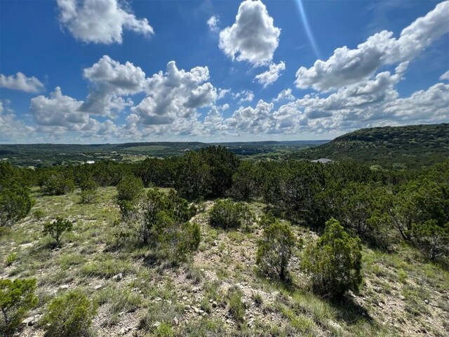 LOT653 Wagon Wheel Trl, Bertram, TX 78605 - photo 4