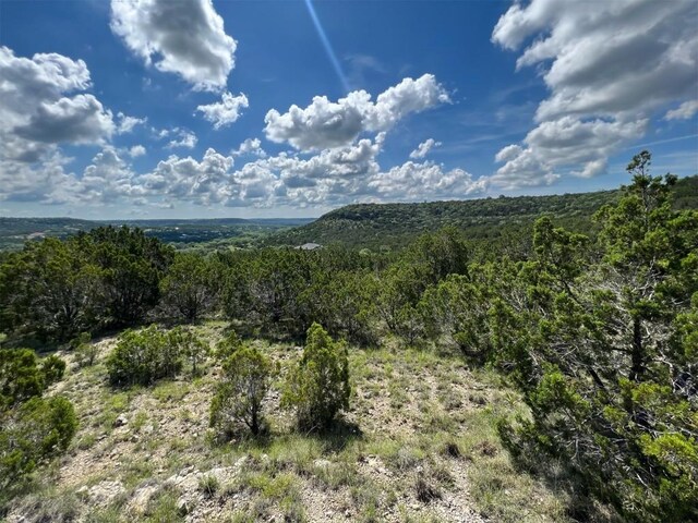LOT653 Wagon Wheel Trl, Bertram, TX 78605 - photo 5