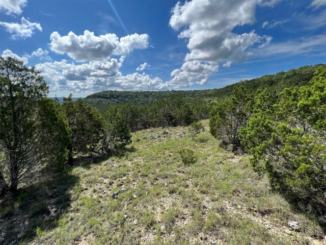 LOT653 Wagon Wheel Trl, Bertram, TX 78605 - photo 6